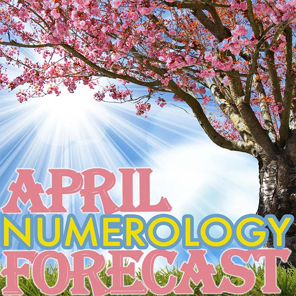 Numerology Forecast for the current month.