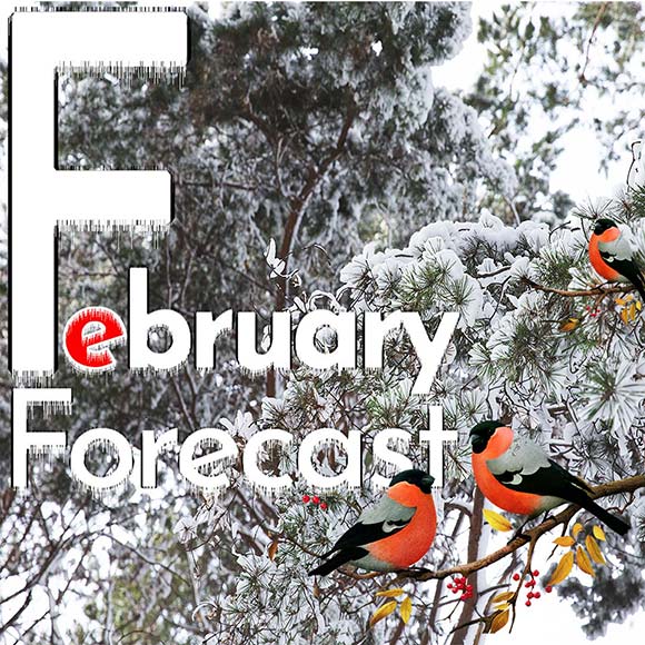 Numerology Forecast for the current month.