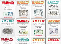 Numerology Software Versions