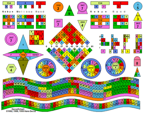 Robyn's numerology chart, showing a range of conflicting numbers.
